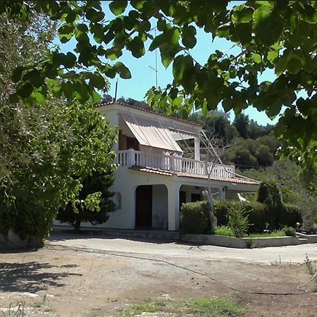 Το Κτήμα Της Ελιάς Του Τάκη Pension Paralia Demonias Buitenkant foto