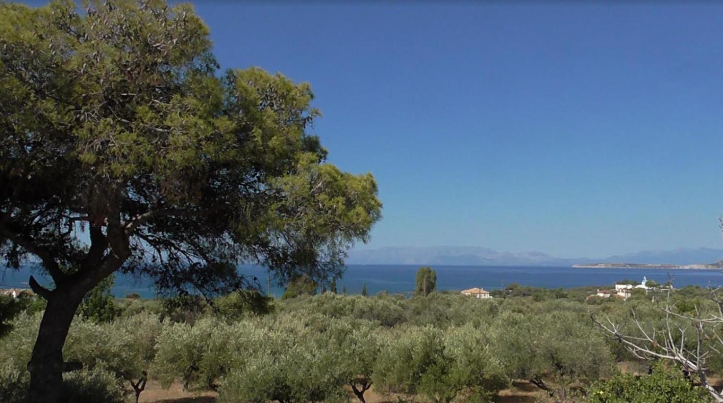 Το Κτήμα Της Ελιάς Του Τάκη Pension Paralia Demonias Buitenkant foto